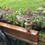 rouw bakfiets op de natuurbegraafplaats prattenburg in rhenen