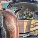 Persoonlijke uitvaartverzorging in Rhenen door Johan en Ramona - afscheid met paarden